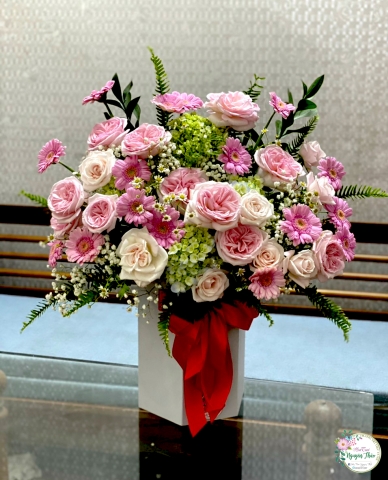 Sự Kiện Nguyên Thảo Trà Vinh