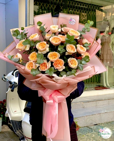 Sự Kiện Nguyên Thảo Trà Vinh