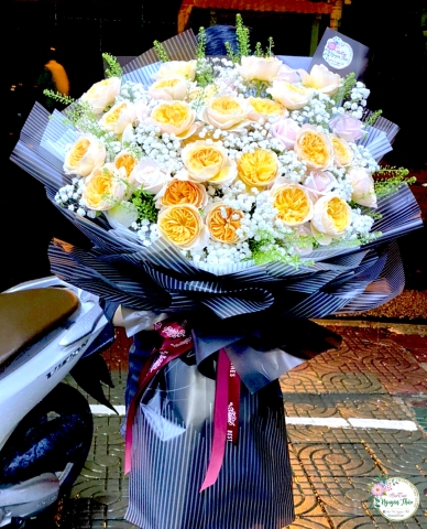 Sự Kiện Nguyên Thảo Trà Vinh