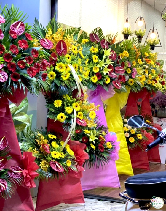 Sự Kiện Nguyên Thảo Trà Vinh