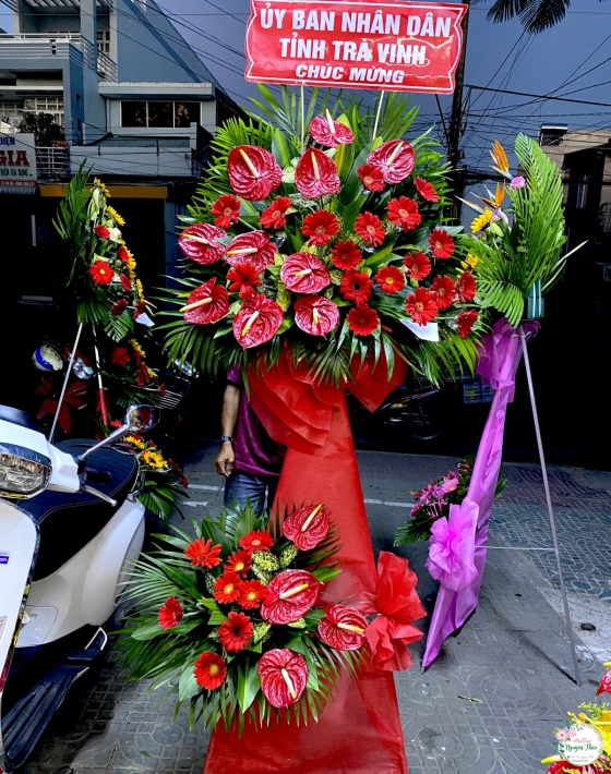 Sự Kiện Nguyên Thảo Trà Vinh