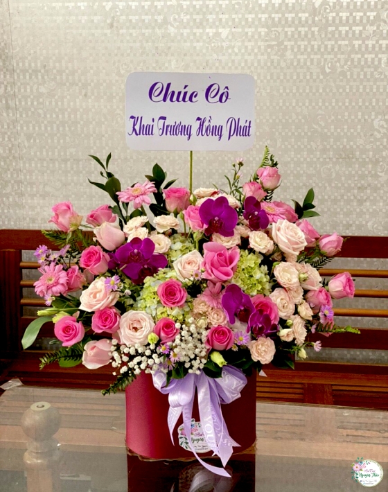 Sự Kiện Nguyên Thảo Trà Vinh