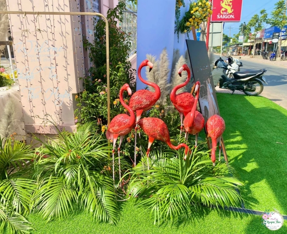 Dịch vụ trọn gói 07